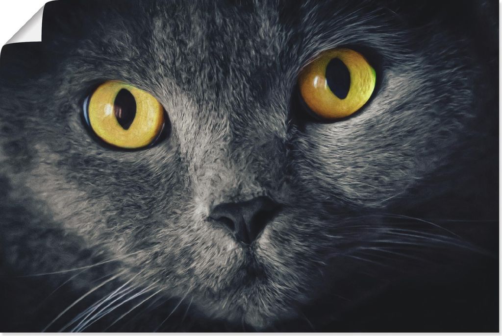 ARTland Poster Katzenaugen Größe: 120x80 cm