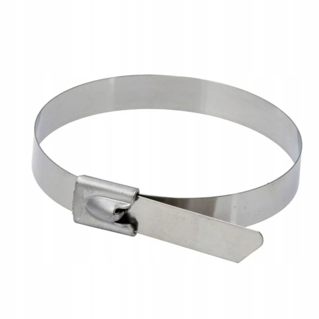 Fascette Metallo 520mm DEDRA 11NB4520 - Acciaio AISI 304 Alta Resistenza