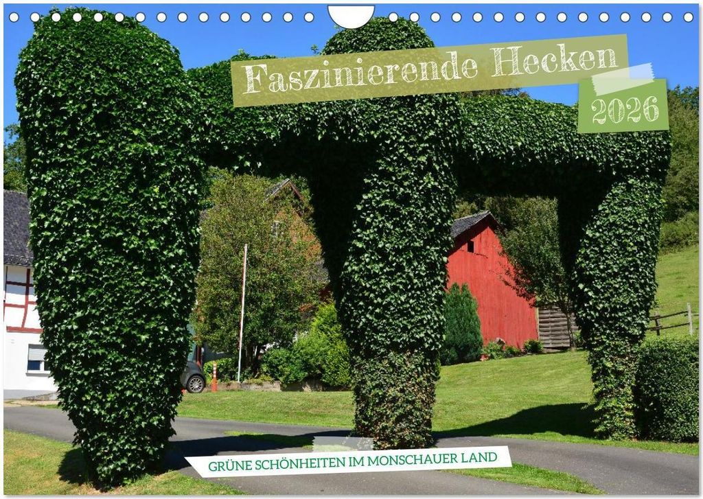 Faszinierende Hecken - Grüne Schönheiten im Monschauer Land (Wandkalender 2026 DIN A4 quer), CALVENDO Monatskalender