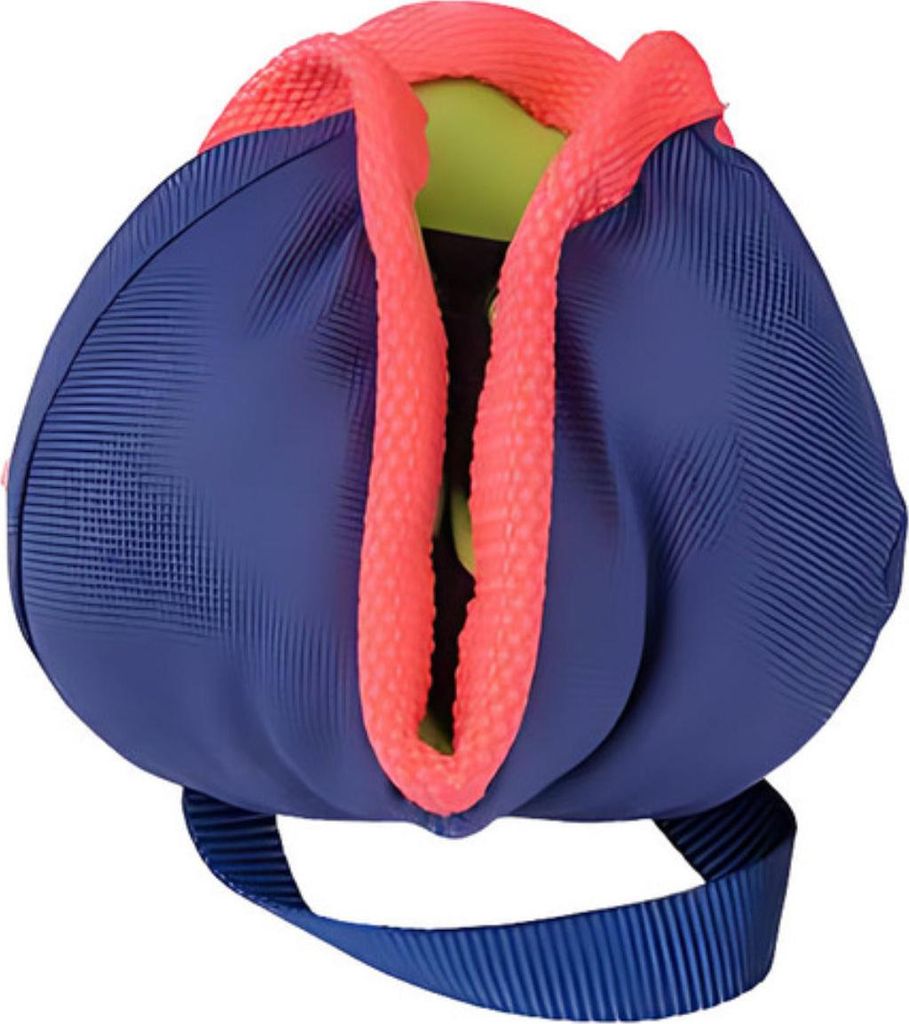 Giocattolo da addestramento Coachi CHASE & TREAT Blu Immagine del prodotto 