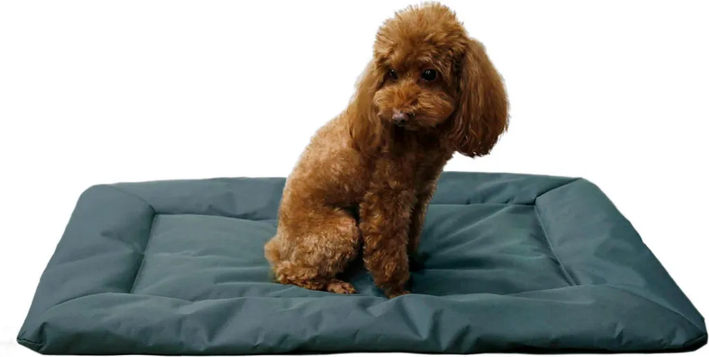 Cuscino Viaggio Cane Impermeabile Grigio: Riposo Sicuro ovunque