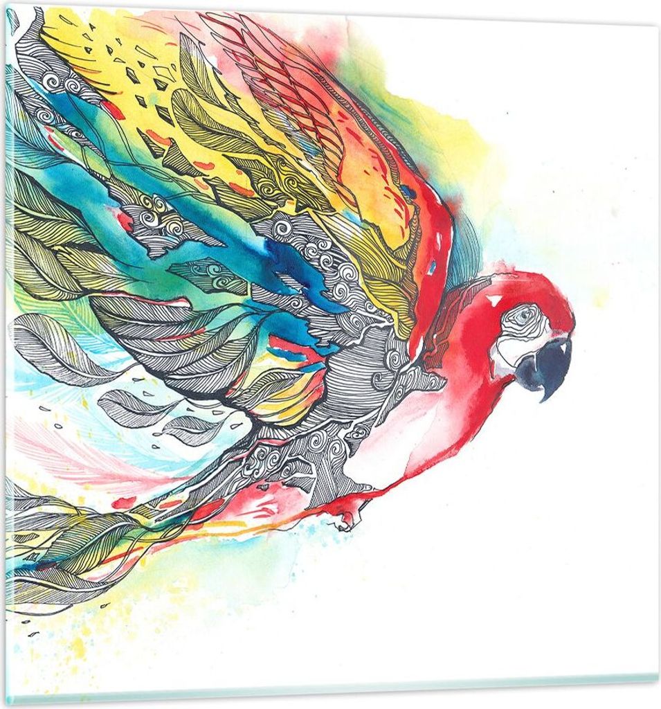Bilder auf glas - Parrot Flügel Federn Natur - 30x30cm - Glasbilder - Wandbilder - Kunstdruck - zum Aufhängen bereit - Wanddekoration aus Glas - ...