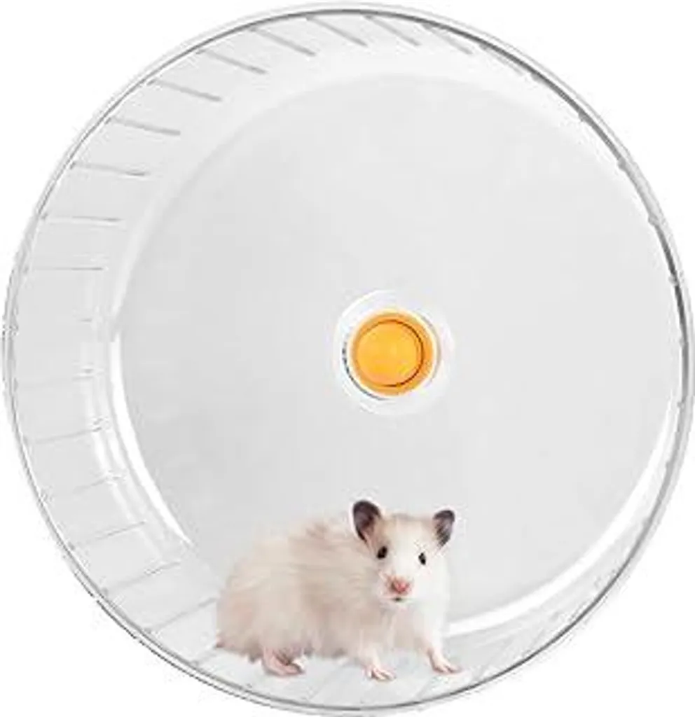 Ruota Trasparente per Criceti 17cm - Felicità e Sport Silenzioso