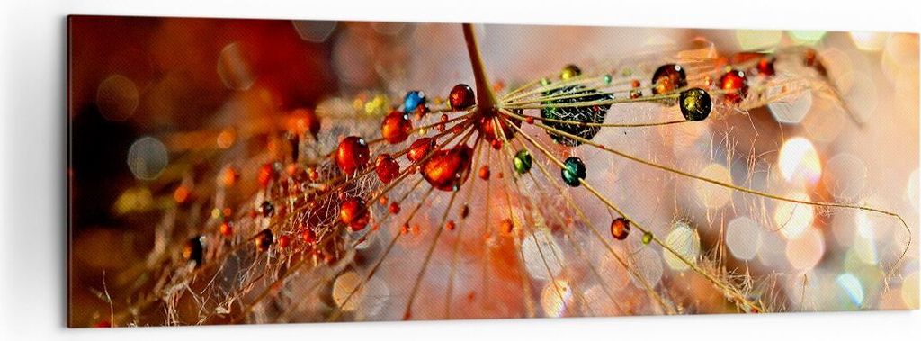 Bild auf Leinwand - Leinwandbild - Spinnennetz modern - 160x50cm - Wand Bild - Wanddeko - Leinwanddruck - Bilder - Kunstdruck - Wanddekoration - Le...