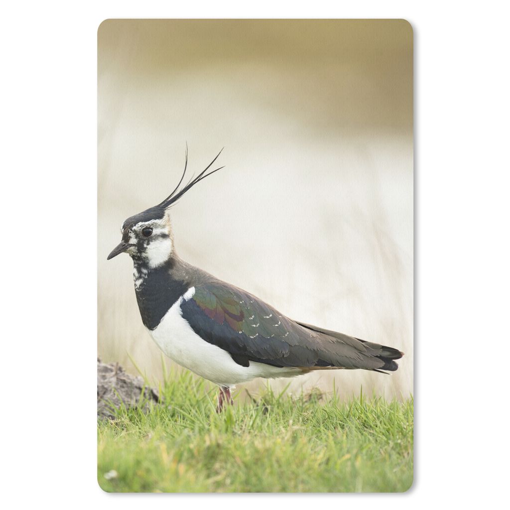 MuchoWow Mauspad Mousepad Vogel - Gras - Tiere - Natur - Kiebitz 40x60 cm - Mousepads - Maus Mat - Pad - Mausunterlage - Schreibtisch Accesoire