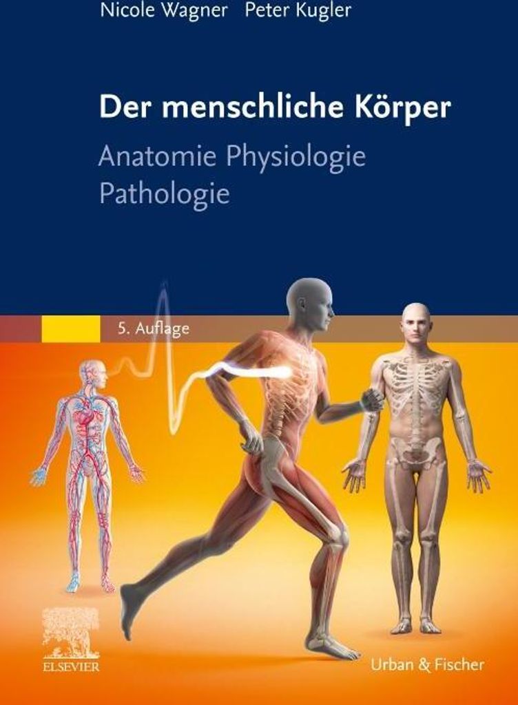 Der menschliche Körper Produktbild 