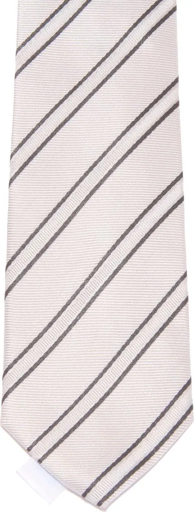 Cravatta Cerimonia EPSILON 8600W Seta Argento - Accessorio Sposo Invitato - 2