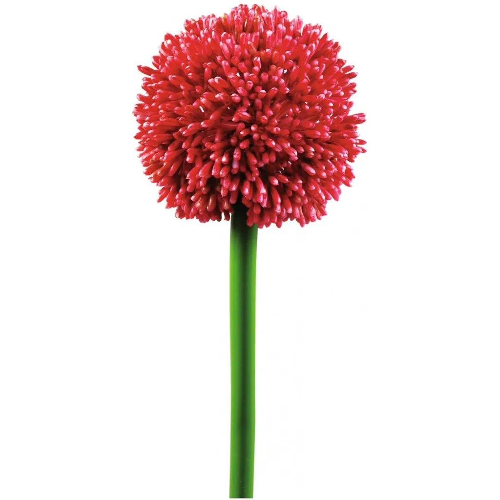 Allium Artificiale Rosso Europalms 55cm | Arredo Interni Alta Qualità - 2