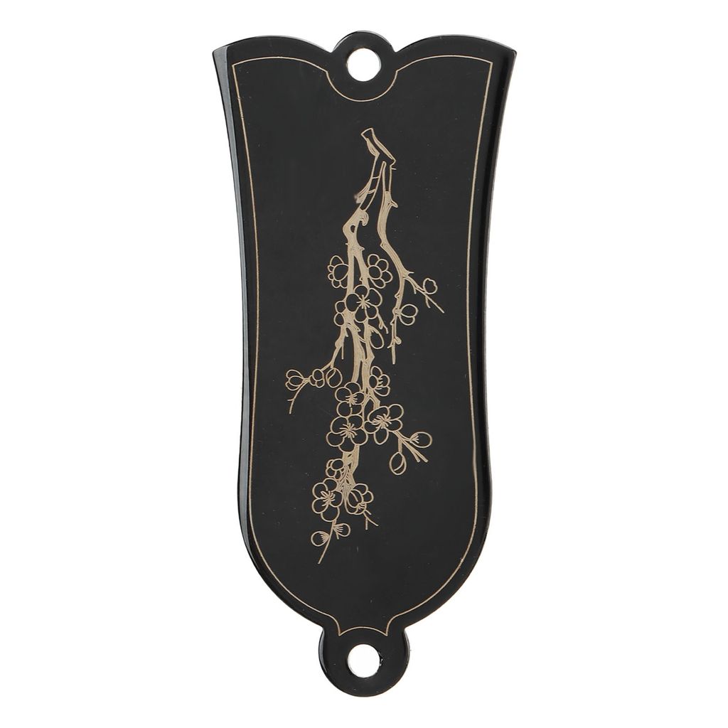 Gitarre Halsstab Abdeckung,Halsstab Abdeckung,Metall Halsstab Abdeckung,Gitarre Halsstab Abdeckung Platte,2 Löcher Halsstab Abdeckung,Gitarre Teile