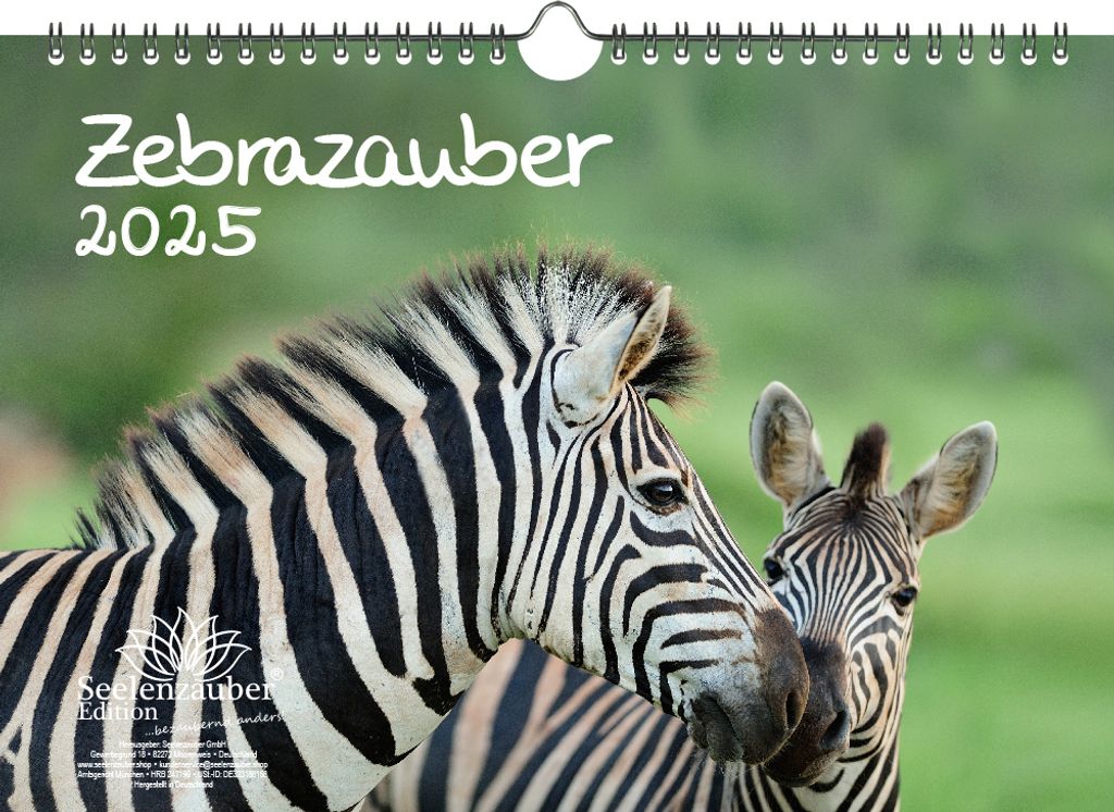 Zebrazauber DIN A4 Kalender für 2025 Zebra - Seelenzauber