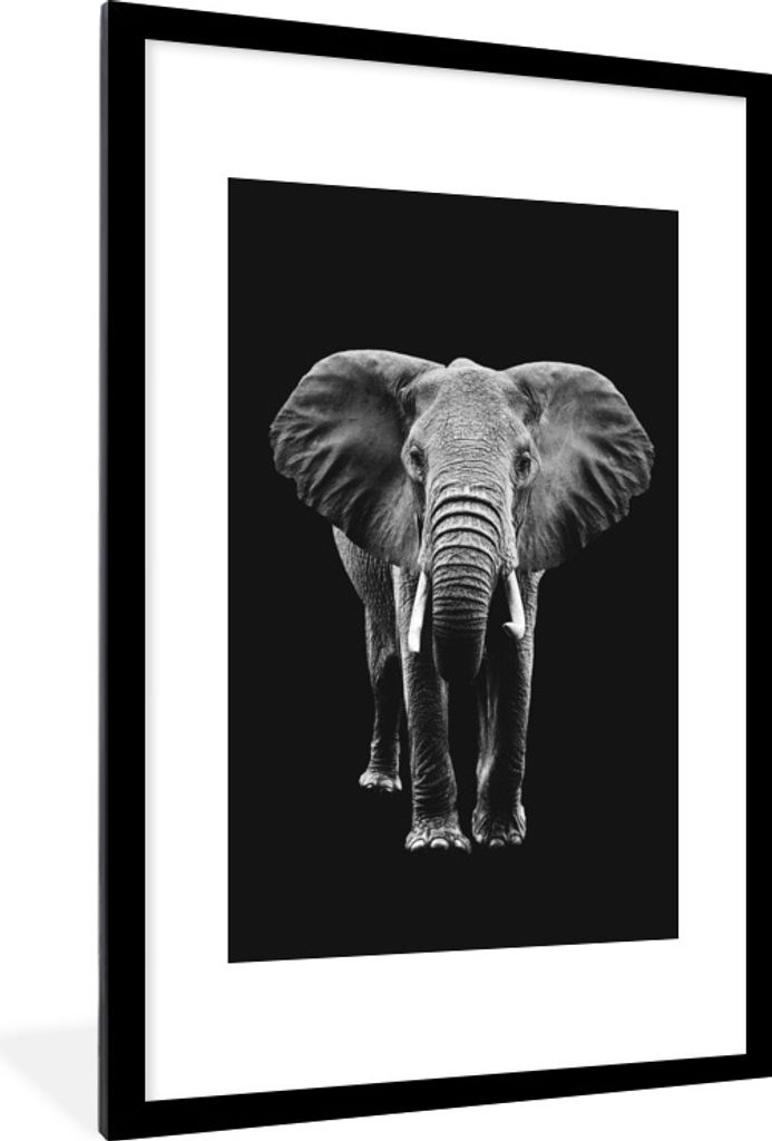 MuchoWow Gerahmtes Poster Elefant mit großen Ohren vor schwarzem Hintergrund - schwarz und weiß 60x90 cm - Poster mit Schwarzem Bilderrahmen Wa...