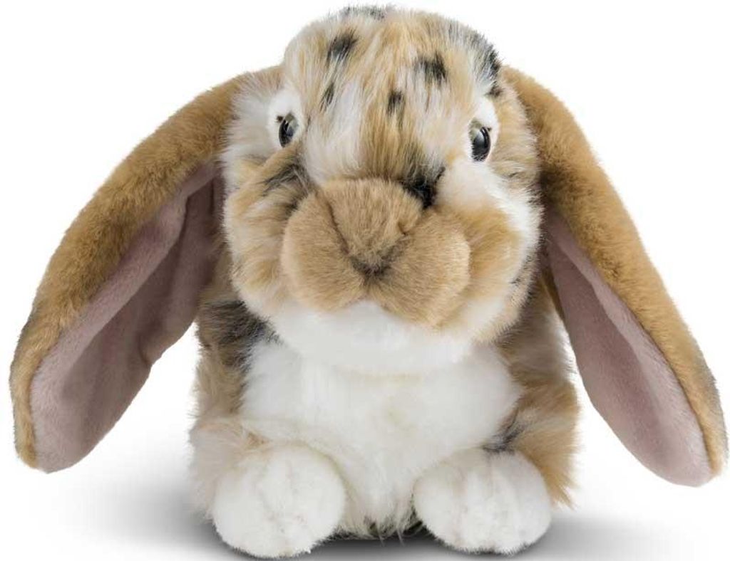 Living Nature Kuscheltier Kaninchen Holland Lop braun 30 cm Produktbild 