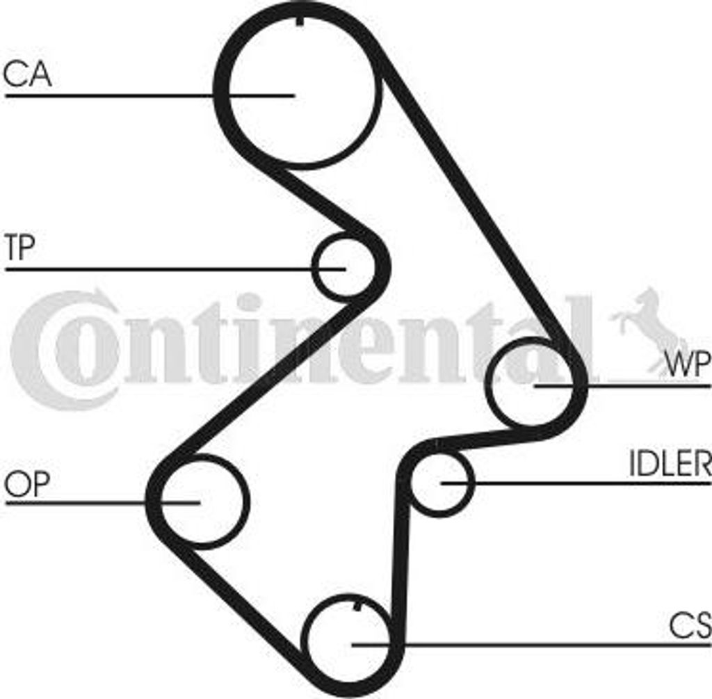 CONTINENTAL CTAM CT998 Zahnriemen OE 135687909583 kompatibel mit Avensis, Camry, Corona, Picnic, RAV 4