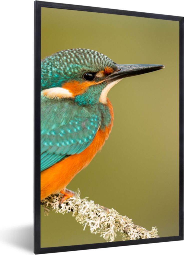 MuchoWow Gerahmtes Poster Eisvogel - Tiere - Vogel 20x30 cm - Poster mit Schwarzem Bilderrahmen Wandposter Rahmen Foto Bilder - Drucken - Bilder ...