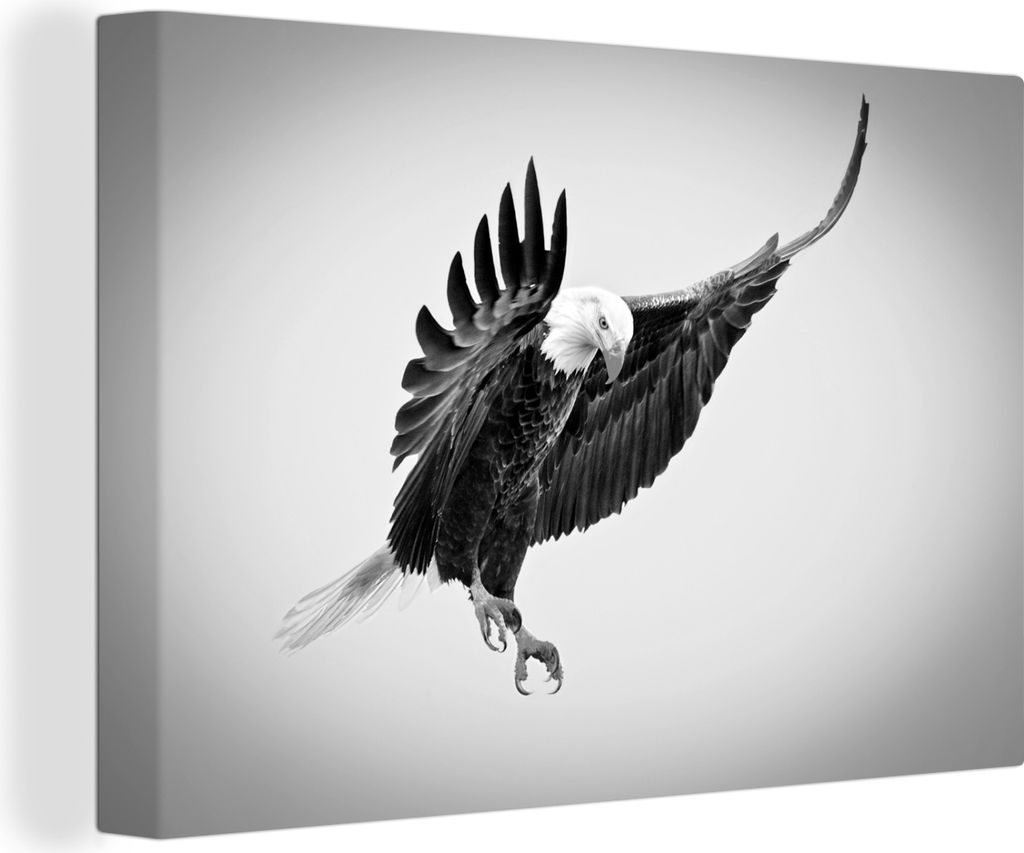 OneMillionCanvasses - Leinwandbilder - 140x90 cm, Adler im Angriff Fotodruck - schwarz und weiß, Wandbilder Kunstdruck Wanddekoration