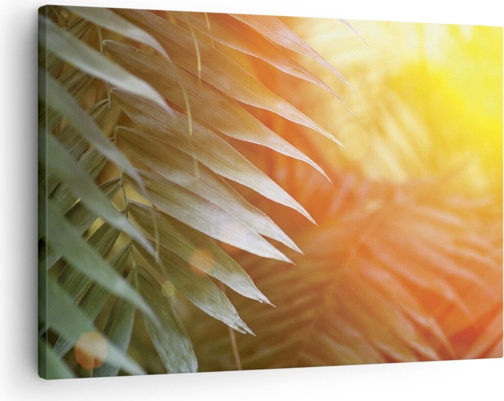 Bild auf Leinwand - Leinwandbild - Einteilig - Exotisch Blätter Dämmerung - 70x50cm - Wand Bild - Wanddeko - Wandbilder - Leinwanddruck - Bilder ...