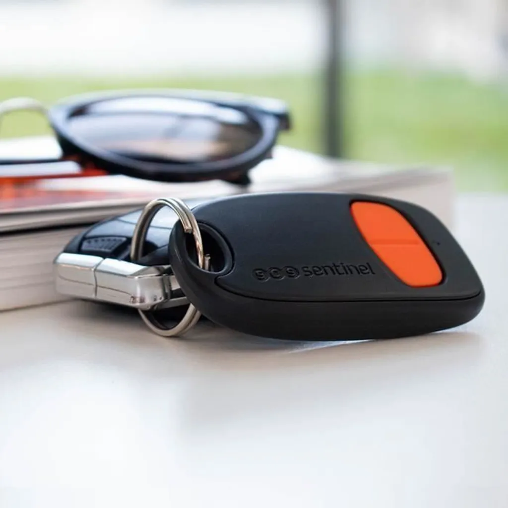 Bip portail et garage 2 canaux - Commande SCS SENTINEL SimplyControl - 4