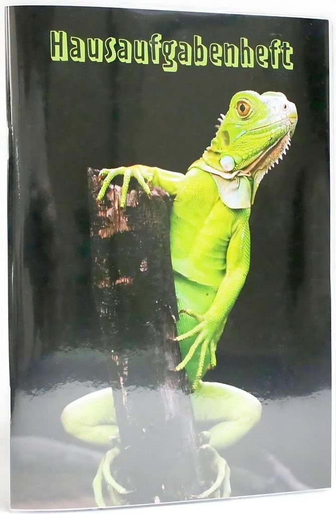 ADINA Hausaufgabenheft A5 (Leguan) für Schlaue mit Produktbild 