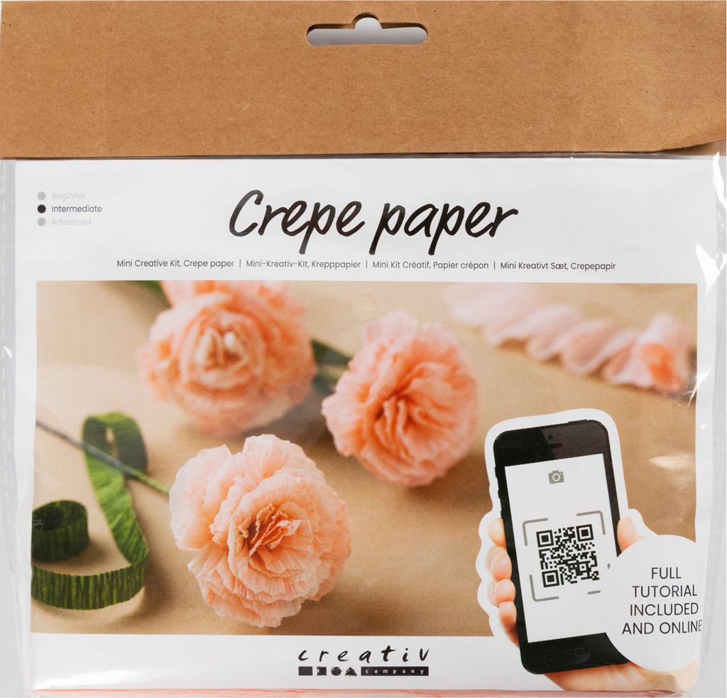 Creativ Company CC Creative Mini Hobby Set Krepppapier Blumen Nelken