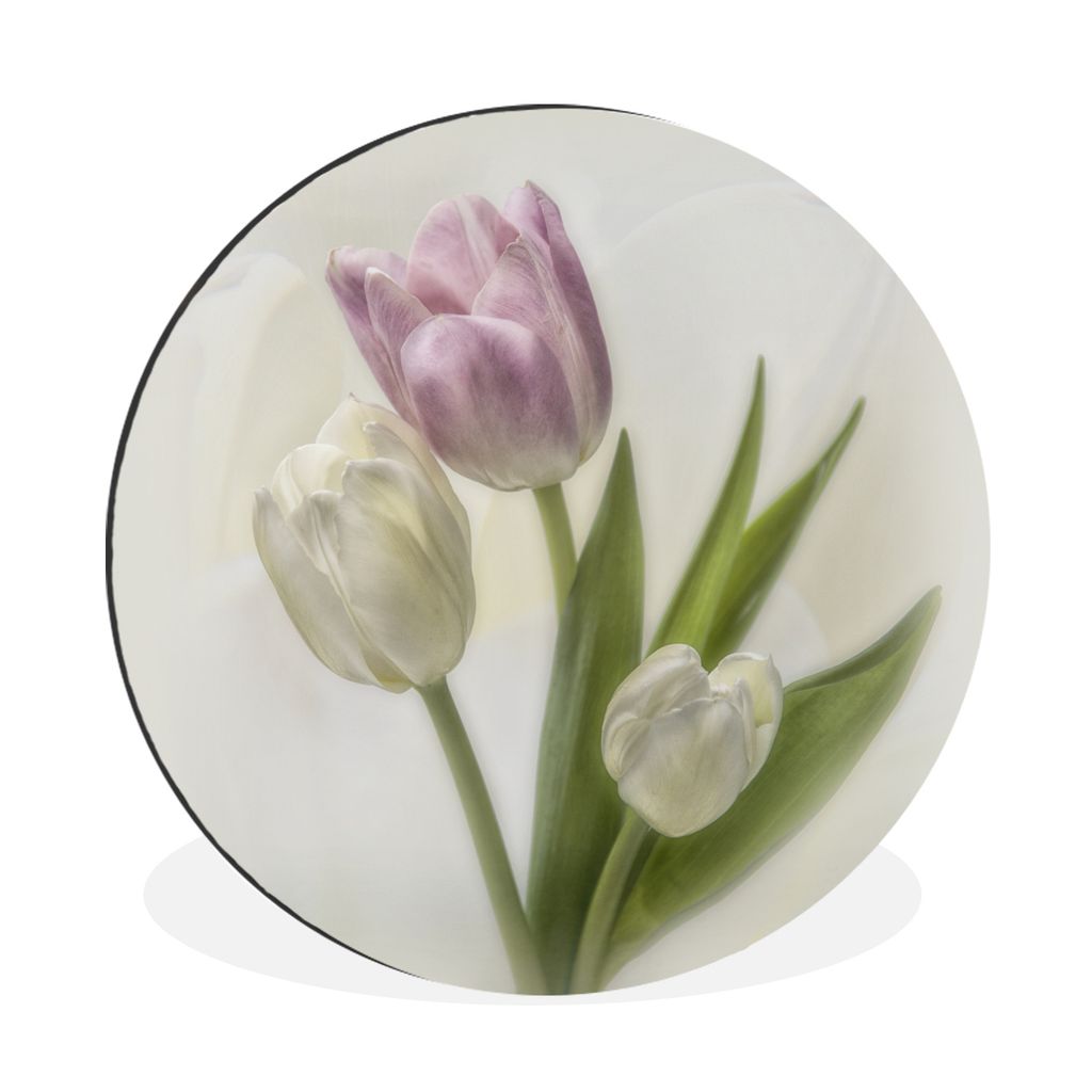 MuchoWow Aluminium Wandkreis Rosa und weiße Tulpen auf weißem Hintergrund Ø 30 cm Wanddeko Modern Wohnzimmer - Wand Bild - Wohnzimmer - Runde ...