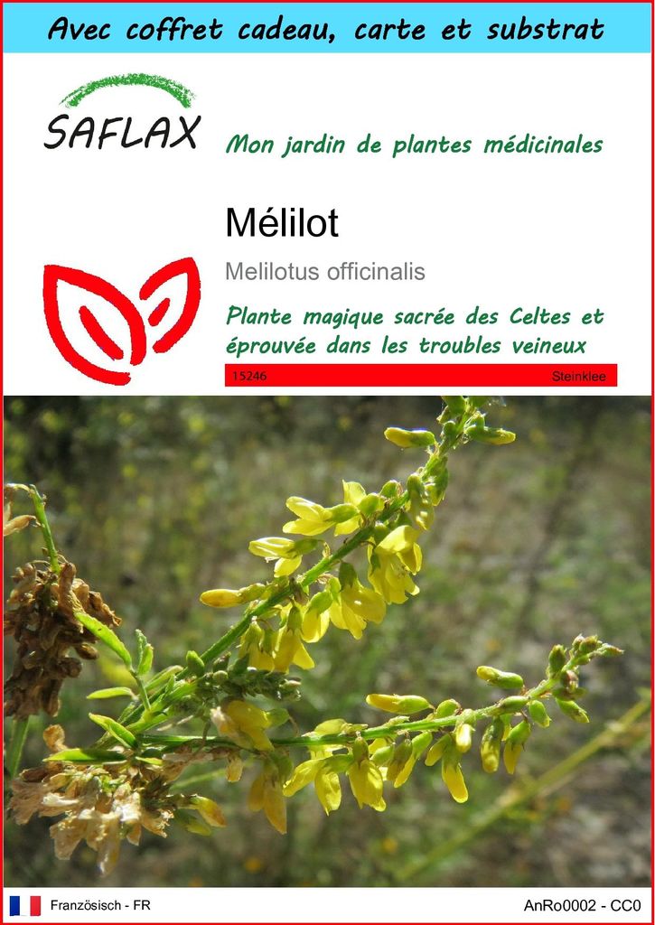 SAFLAX Ensemble-cadeau - Mélilot - 250 graines - Melilotus Image du produit 