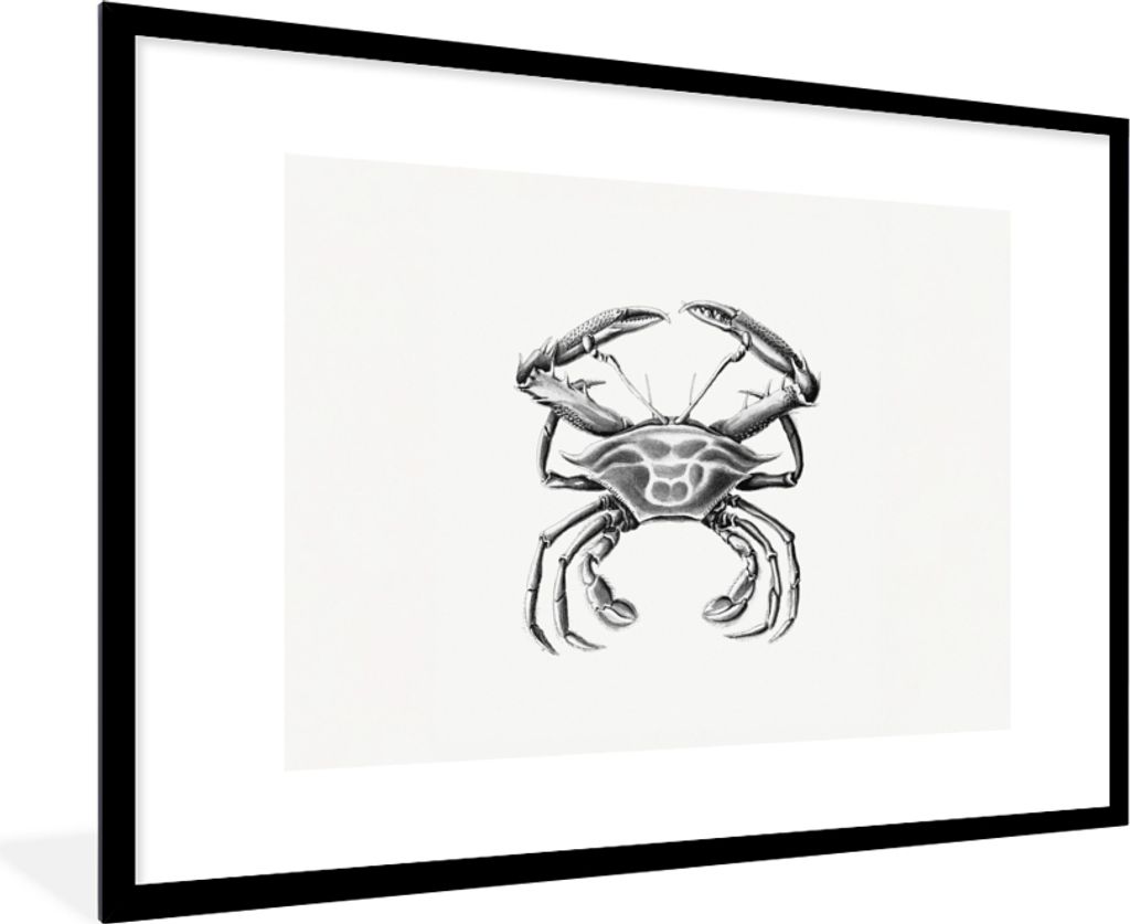 MuchoWow Gerahmtes Poster Ernst Haeckel - Jahrgang - Kunst - Krabbe 90x60 cm - Poster mit Schwarzem Bilderrahmen Wandposter Rahmen Foto Bilder - ...