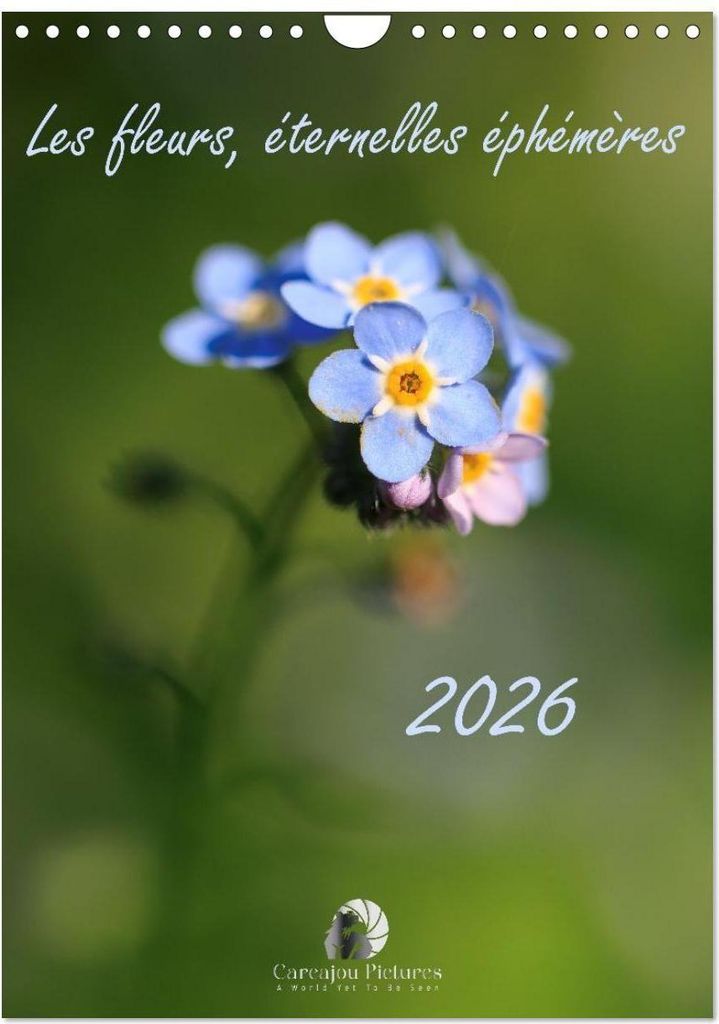 Les fleurs, éternelles éphemères (Calendrier mural 2026 DIN A4 horizontal), CALVENDO calendrier mensuel