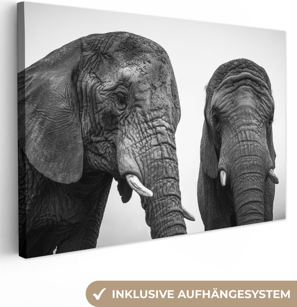OneMillionCanvasses - Leinwandbilder - 150x100 cm, Neugierige Elefanten in Schwarz und Weiß, Wandbilder Kunstdruck Wanddekoration