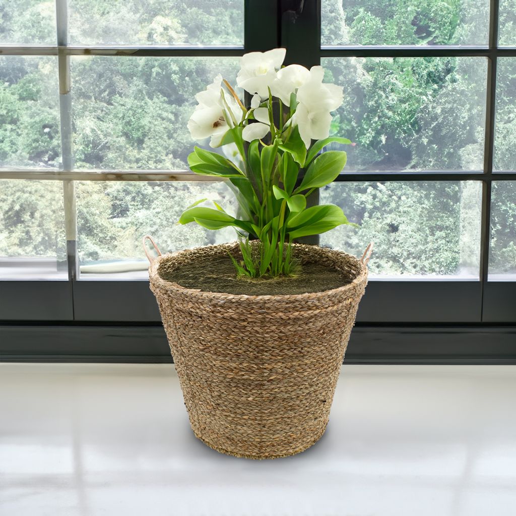 Seegras Pflanzkorb natur mit Henkel - 27 x 24 cm - Produktbild 4