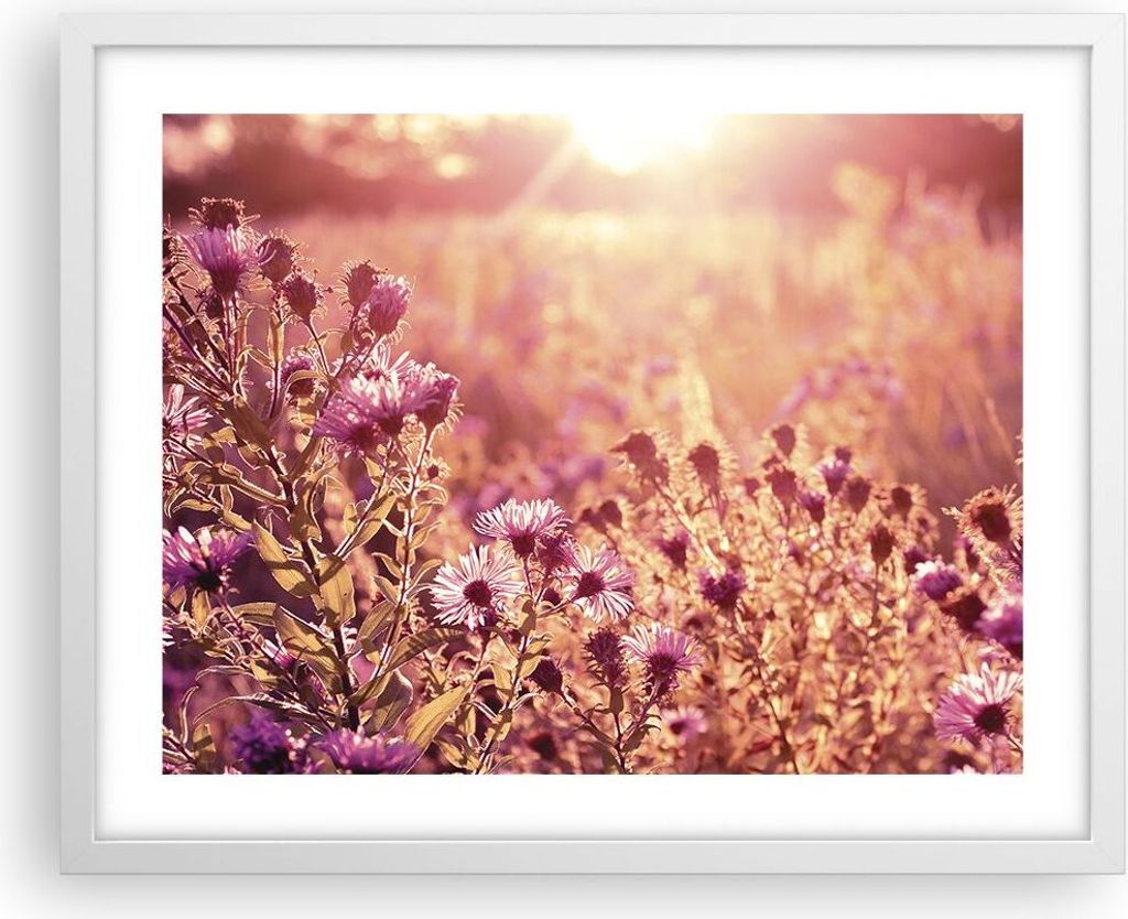 Gerahmtes Poster - Weißer Rahmen - Wiese Blumen Sonne - Produktbild 