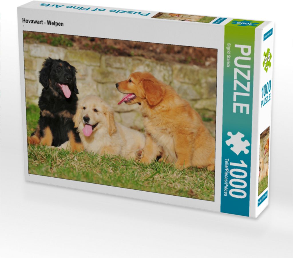 CALVENDO Puzzle Hovawart - Welpen | 1000 Teile Lege-Größe 64x48cm Foto-Puzzle für glückliche Stunden