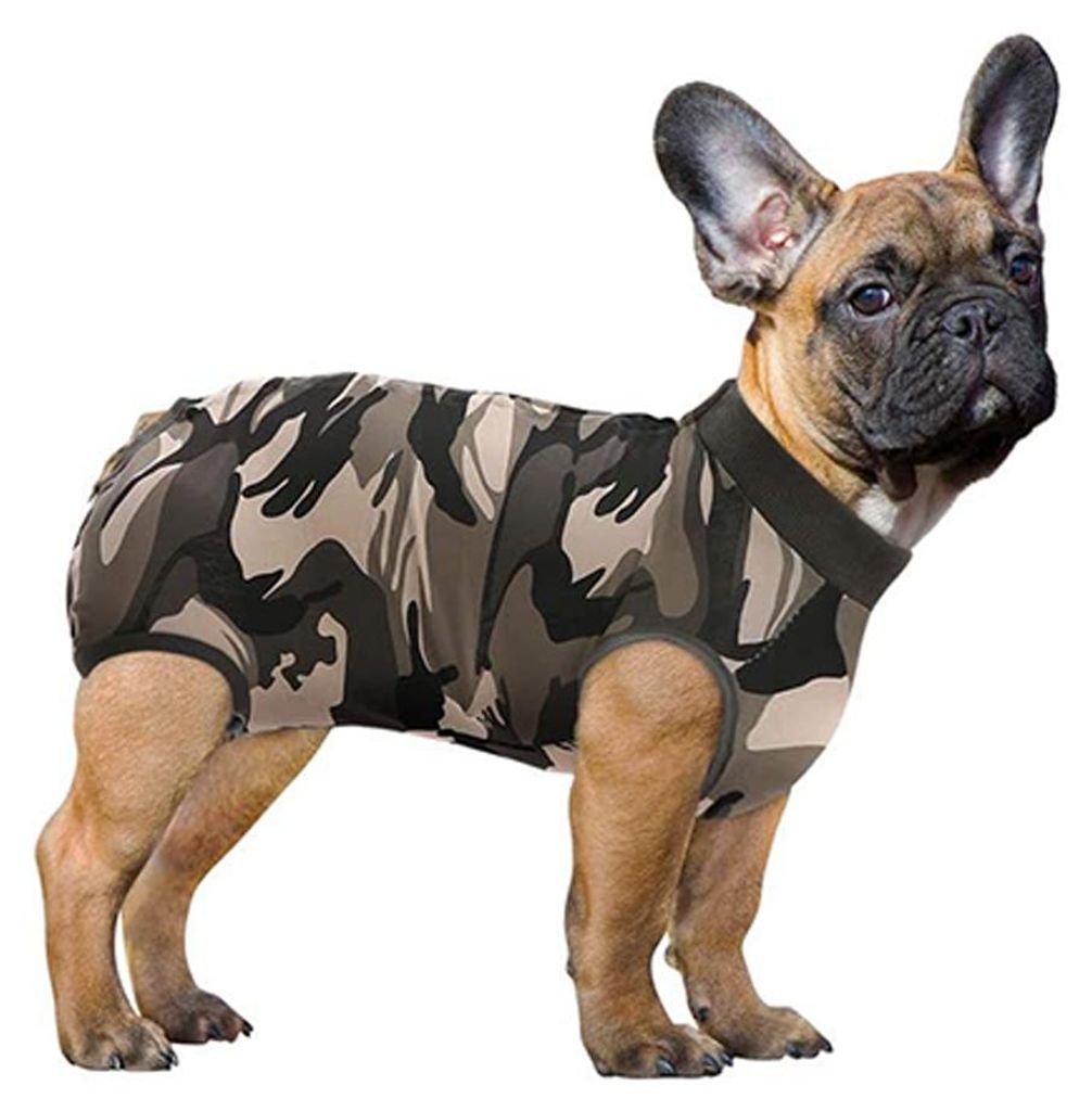 Genesungsanzug für Hunde und Katzen, Bodysuit für Produktbild 