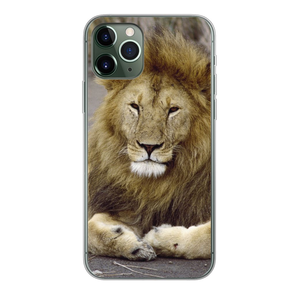 MuchoWow Handyhülle Schutzhülle Hülle für iPhone 11 Pro Löwe - Afrika - Tier Silikon Softcase Handy Hülle - Handy