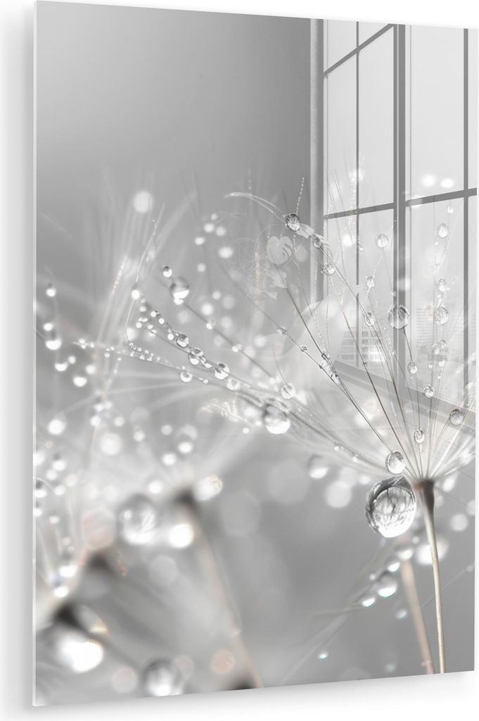 MuchoWow Glasbilder - Bilder auf Wandbild - Foto auf Glas Löwenzahn - Wassertropfen - Stilleben - Modern 30x40 cm Wanddekoration aus Glas - Acrylg...