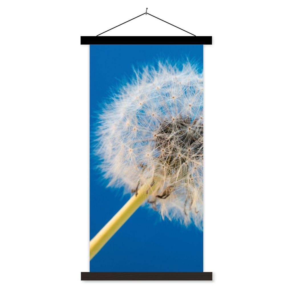 MuchoWow Textilposter Löwenzahn - Blume - Terrasse 60x120 cm mit schwarzem Rahmen - Magnete