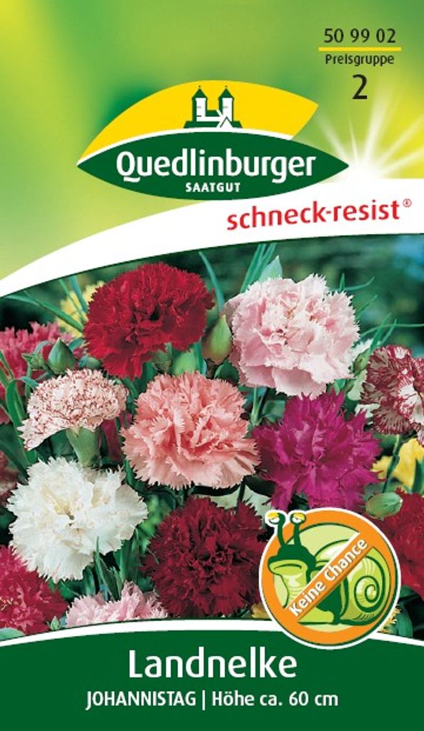 Landnelke, Johannistag Produktbild 