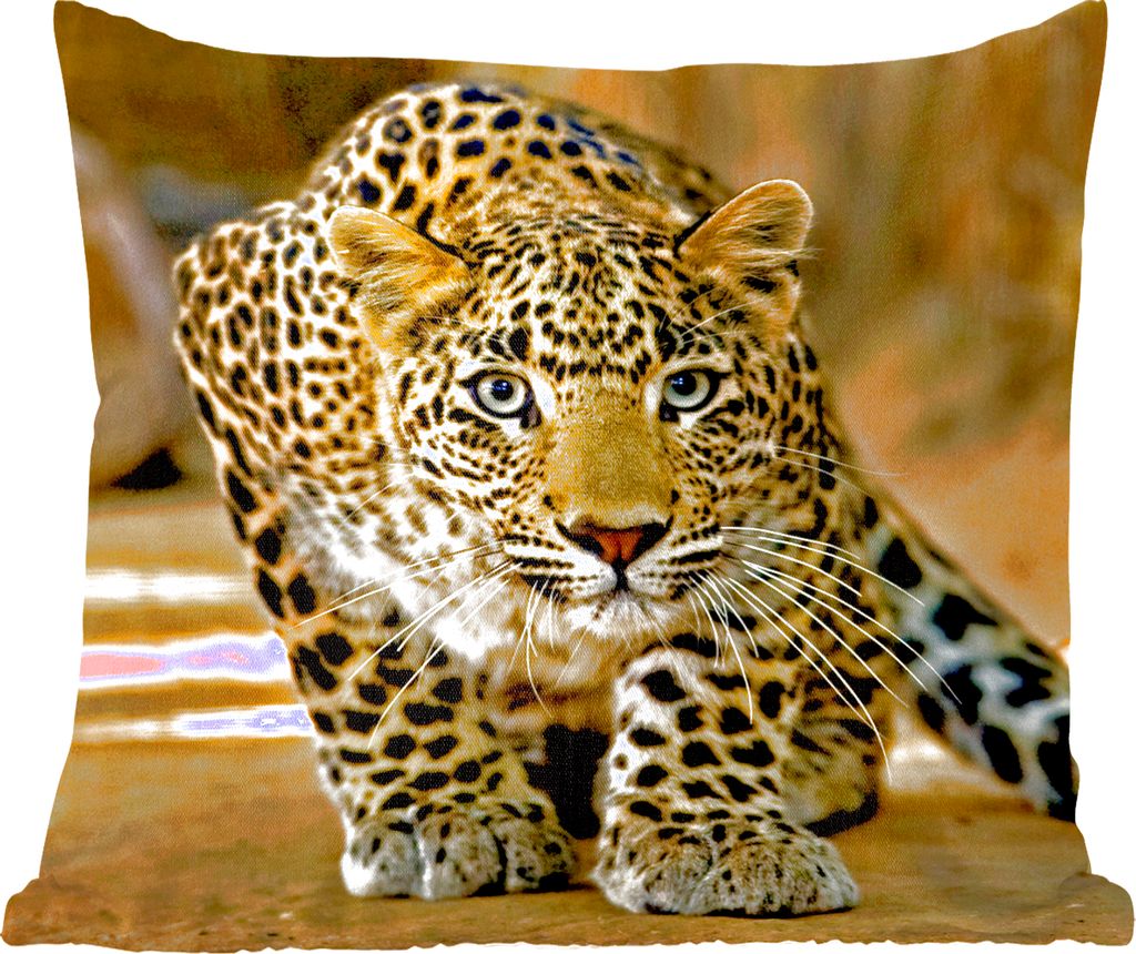 MuchoWow Zierkissen Sofakissen Wohnzimmer Dekokissen 40x40 cm Leopard - Raubtier - Porträt - Foto Kissen - Schlafzimmer Dekoration