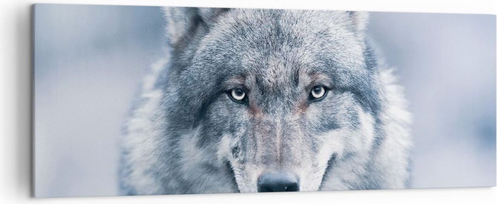 Bild auf Leinwand - Leinwandbild - Einteilig - Wolf Raubtier Wildheit - 140x50cm - Wand Bild - Wanddeko - Wandbilder - Leinwanddruck - Bilder - Wan...
