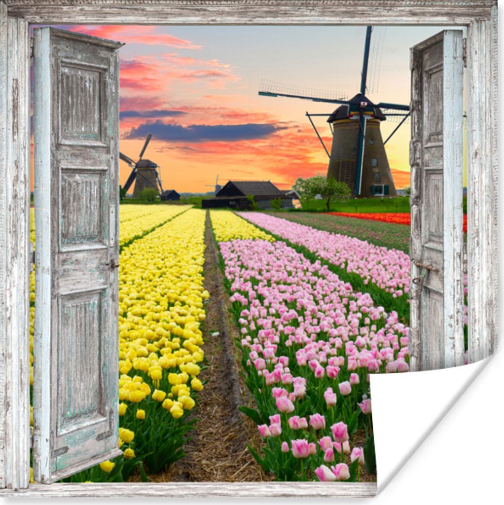 MuchoWow Poster Aussicht - Tulpen - Mühle - Abend 75x75 cm - Wand Dekoration