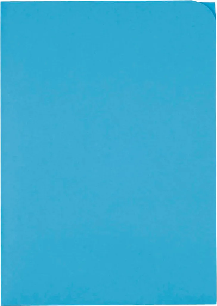 Pochette Ordo Discreta bleu ELCO 29466.32 - Papier haute qualité rigide A4