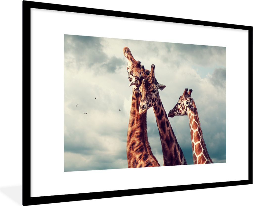 MuchoWow Gerahmtes Poster Drei Giraffen unter einem bewölkten Himmel 90x60 cm - Poster mit Schwarzem Bilderrahmen Wandposter Rahmen Foto Bilder ...
