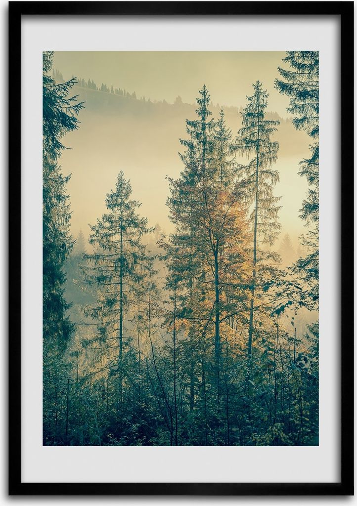 Bild - Bilderrahmen - Foto - 70 cm x 100 cm - MDF - Rahmen Produktbild 