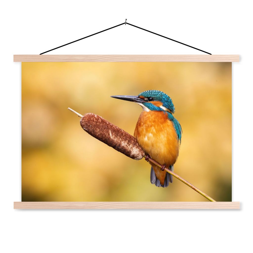 MuchoWow Textilposter Eisvogel - Natur - Vogel 60x40 cm mit holzfarbenen Rahmen - Bilder