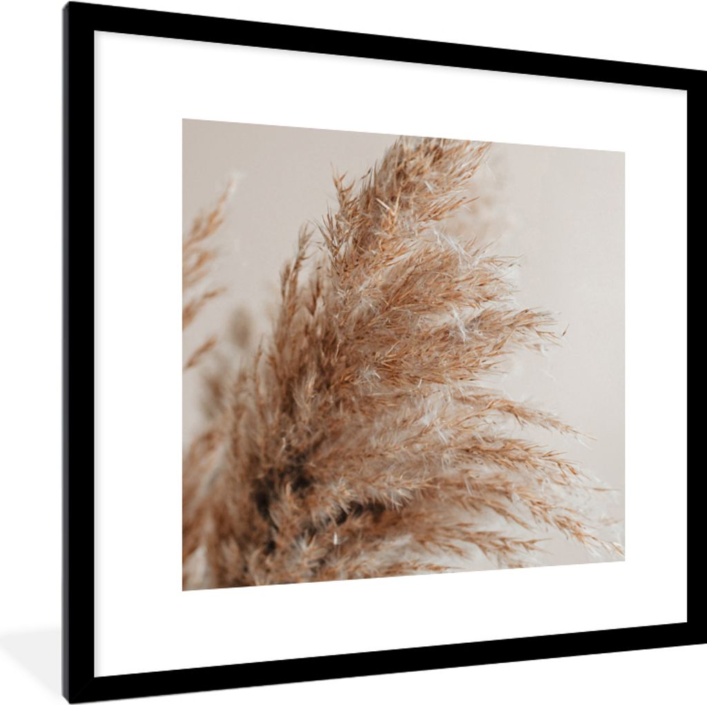 MuchoWow MuchoWow Gerahmtes Poster Gras - Pflanzen - Natur - Pampasgras 40x40 cm - Poster mit zchwarzem Bilderrahmen - Poster - Plakat im Rahmen