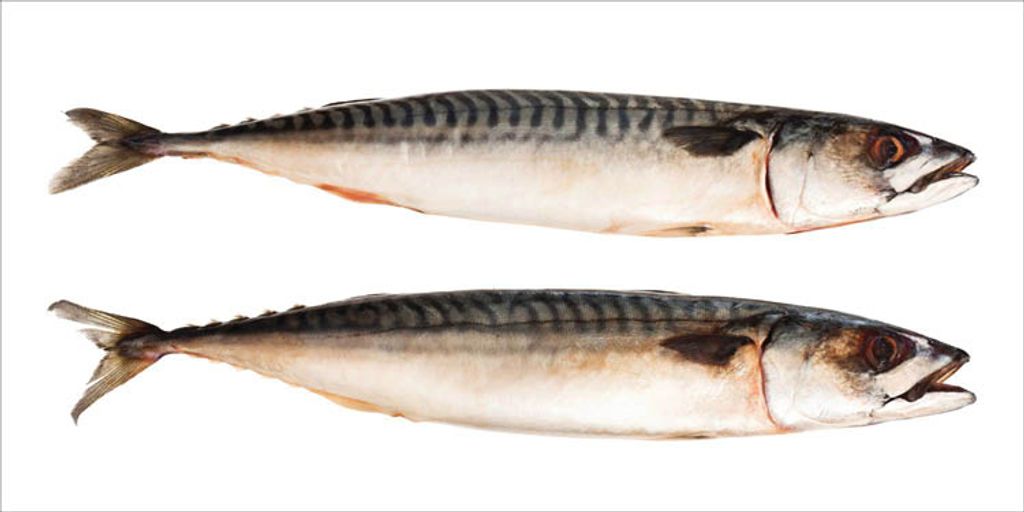 ESTAhome Wandtattoo Fische Grau 97 x 48.5 cm