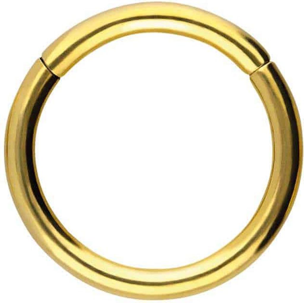 Ohrpiercing, Nasenpiercing, Septum Piercing Chirurgenstahl Segmentring Clicker Gold Innendurchmesser: 11mm + Stabstärke: 1,6mm