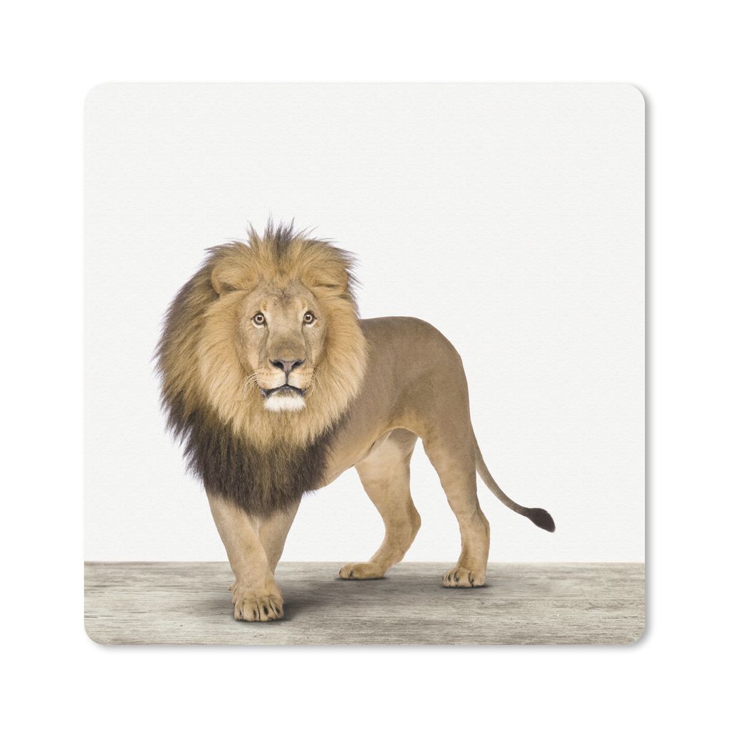 MuchoWow Mauspad Mousepad Jungen - Löwe - Tiere - Kinder - Mädchen 20x20 cm - Mousepads - Maus Mat - Pad - Mausunterlage - Desk Mat - Bureauart...