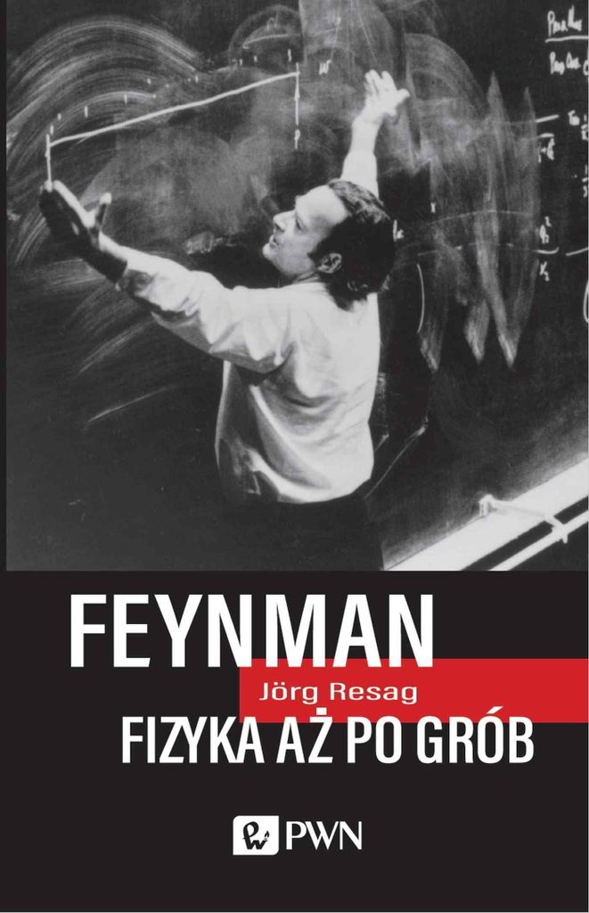 Feynman. Physik bis ins Grab