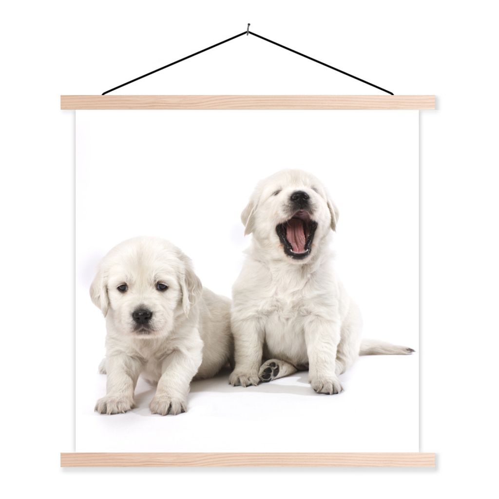 MuchoWow Textilposter Portrait von Golden Retriever Welpen 60x60 cm mit holzfarbenen Rahmen - Wanddekoration