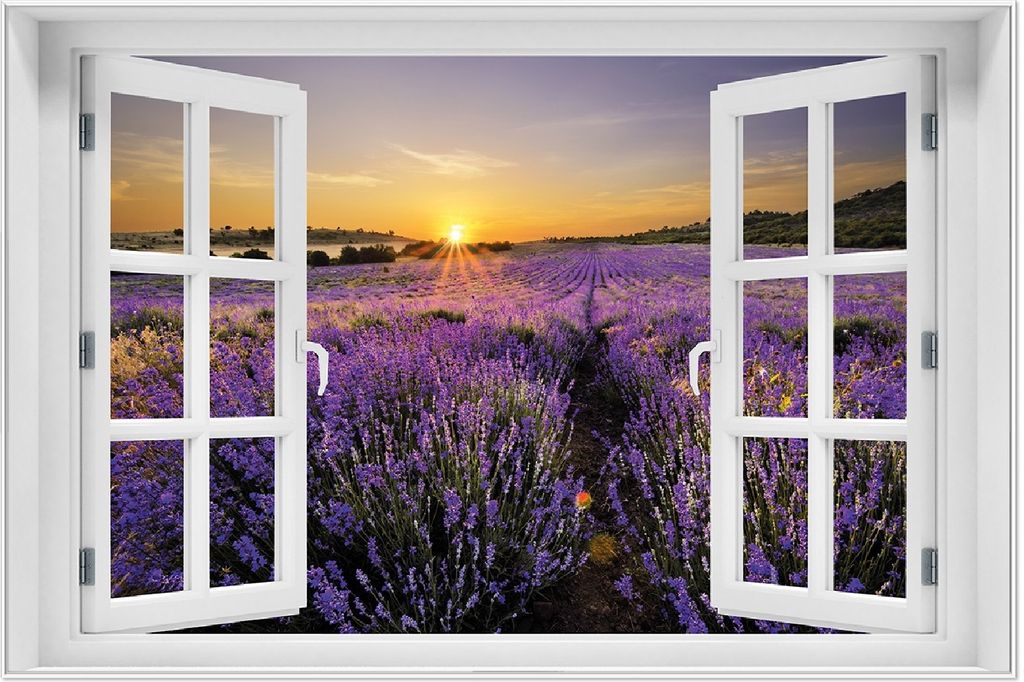 Wallario Wandbild mit Fenster-Illusion: Sonnenuntergang über dem Lavendel, Größe: 61 x 91,5 cm, Poster mit weißem Aluminiumrahmen